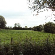 Children and pets at Withy Cottages